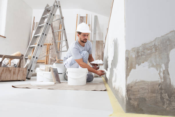 Best Drywall Texturing  in Crystal, MN